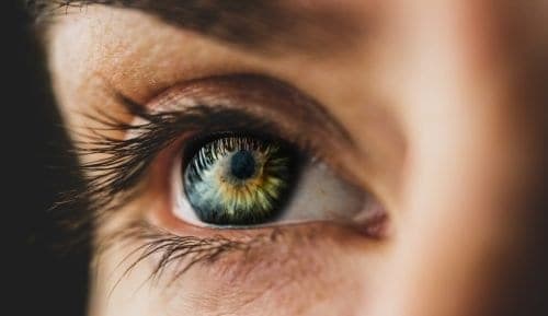 Iridologie avancée : intégrer la lecture d'iris dans une pratique holistique et développer son expertise