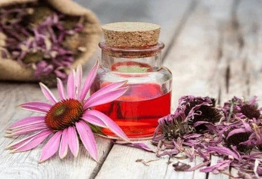 Illustration du métier de conseiller en phytothérapie — formation Devenir Conseiller en Phytothérapie