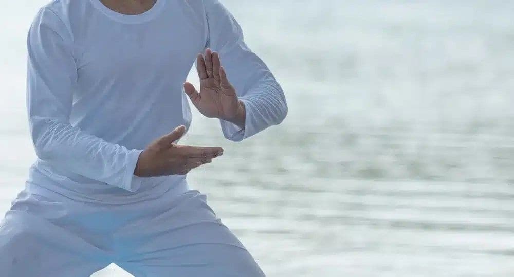 Illustration du métier de praticien en qi gong — formation Devenir Professeur de Qi Gong