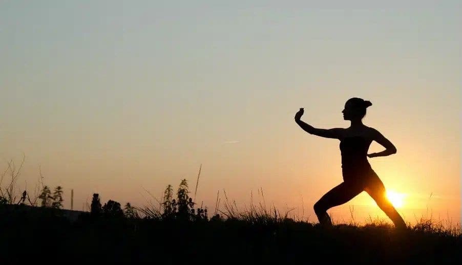 Le métier de praticien en qi gong en pratique — Devenir Professeur de Qi Gong (illustration 3)
