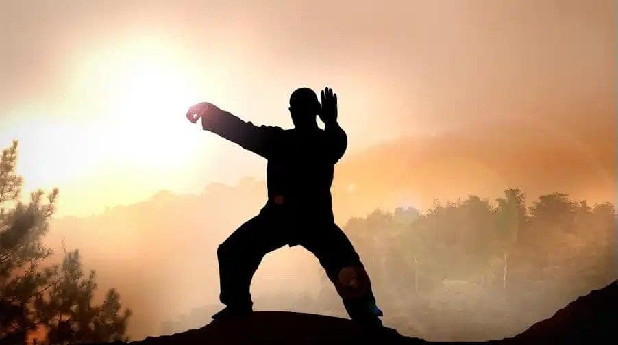 Qi Gong en entreprise : une opportunité de marché pour les instructeurs indépendants
