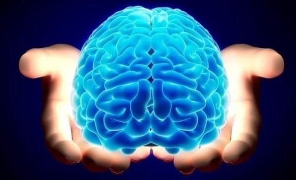Intégrer les neurosciences dans sa pratique : guide pour thérapeutes et coachs